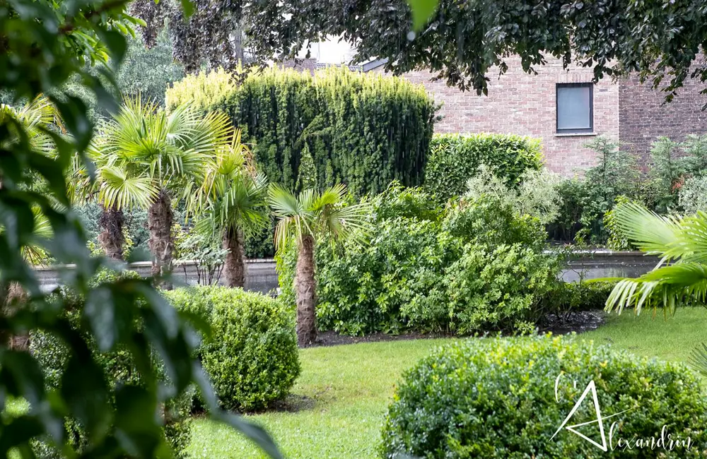 Le jardin de l'Alexandrin